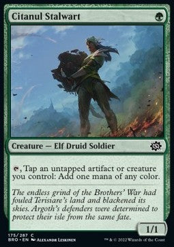 Citanul Stalwart - The Brothers' War (Common) [BRO-175]